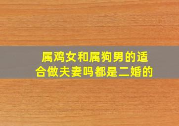 属鸡女和属狗男的适合做夫妻吗都是二婚的