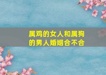 属鸡的女人和属狗的男人婚姻合不合