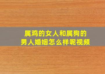 属鸡的女人和属狗的男人婚姻怎么样呢视频