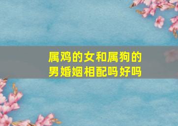 属鸡的女和属狗的男婚姻相配吗好吗