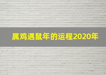 属鸡遇鼠年的运程2020年