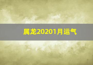 属龙20201月运气