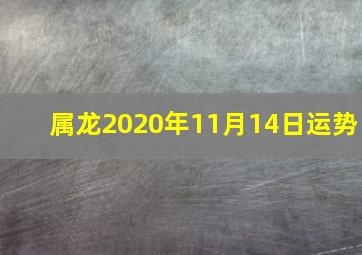 属龙2020年11月14日运势