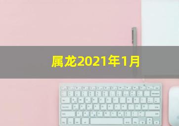 属龙2021年1月