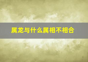 属龙与什么属相不相合