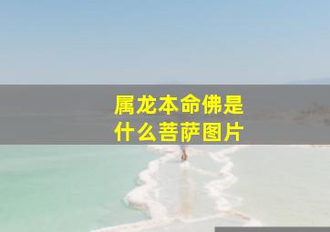 属龙本命佛是什么菩萨图片