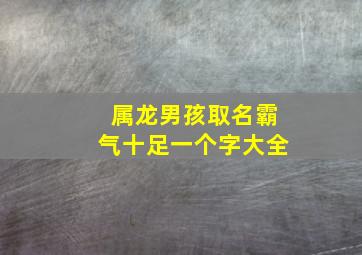 属龙男孩取名霸气十足一个字大全