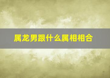 属龙男跟什么属相相合