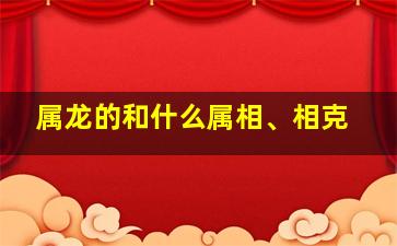 属龙的和什么属相、相克