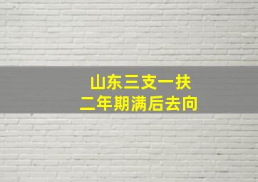 山东三支一扶二年期满后去向