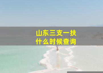 山东三支一扶什么时候查询