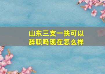 山东三支一扶可以辞职吗现在怎么样