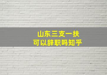 山东三支一扶可以辞职吗知乎