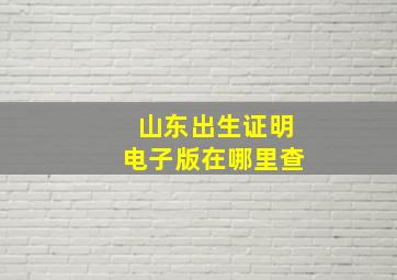 山东出生证明电子版在哪里查