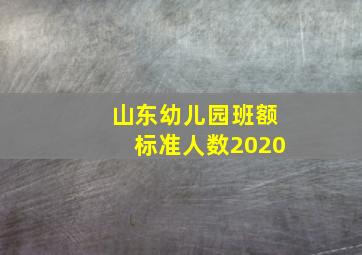 山东幼儿园班额标准人数2020