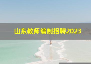 山东教师编制招聘2023