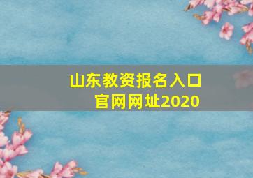 山东教资报名入口官网网址2020