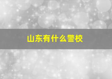 山东有什么警校