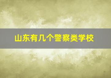 山东有几个警察类学校