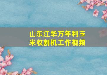 山东江华万年利玉米收割机工作视频