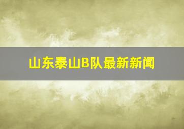 山东泰山B队最新新闻