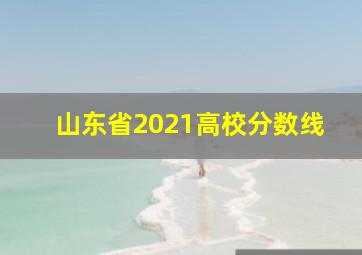 山东省2021高校分数线