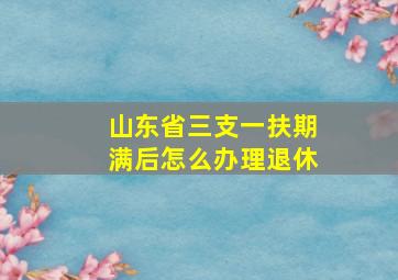 山东省三支一扶期满后怎么办理退休