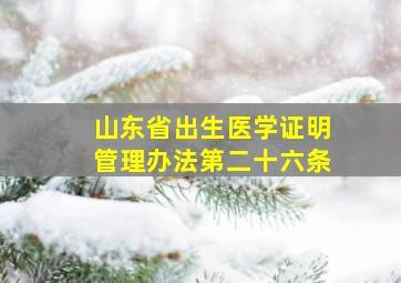 山东省出生医学证明管理办法第二十六条