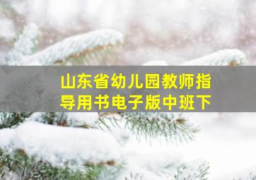 山东省幼儿园教师指导用书电子版中班下