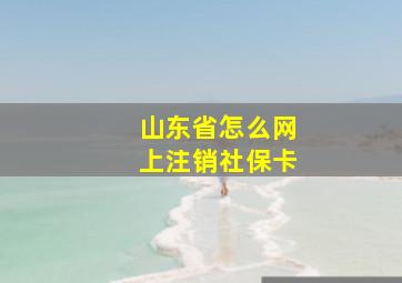 山东省怎么网上注销社保卡