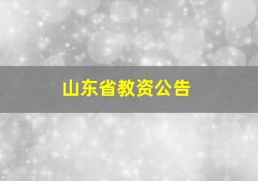 山东省教资公告