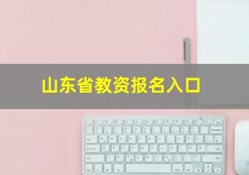 山东省教资报名入口