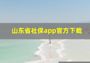 山东省社保app官方下载