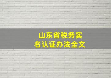 山东省税务实名认证办法全文