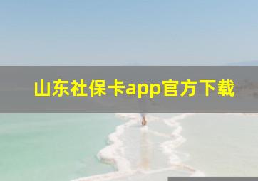 山东社保卡app官方下载