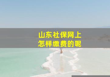 山东社保网上怎样缴费的呢