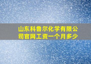 山东科鲁尔化学有限公司官网工资一个月多少