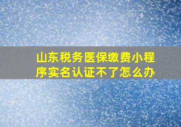 山东税务医保缴费小程序实名认证不了怎么办