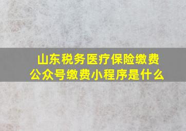 山东税务医疗保险缴费公众号缴费小程序是什么