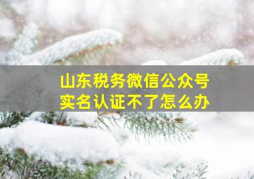 山东税务微信公众号实名认证不了怎么办