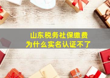 山东税务社保缴费为什么实名认证不了