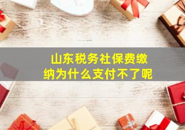 山东税务社保费缴纳为什么支付不了呢