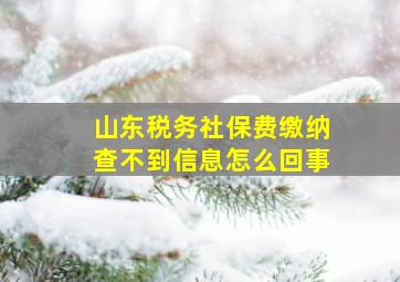 山东税务社保费缴纳查不到信息怎么回事