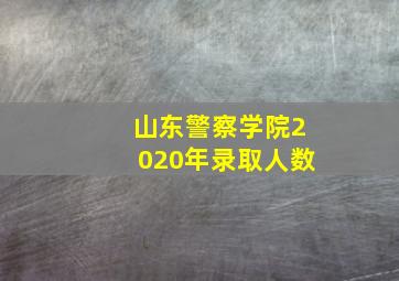 山东警察学院2020年录取人数