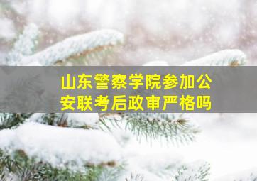 山东警察学院参加公安联考后政审严格吗