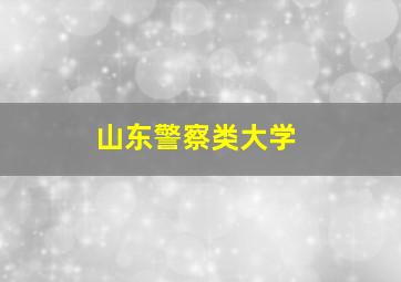 山东警察类大学