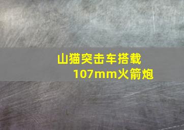 山猫突击车搭载107mm火箭炮