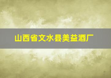 山西省文水县美益酒厂