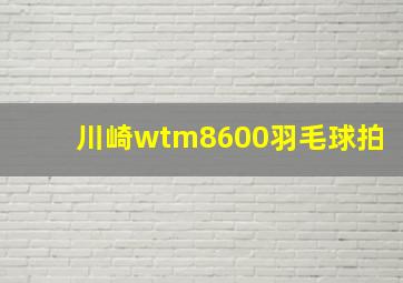 川崎wtm8600羽毛球拍