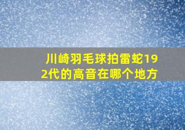 川崎羽毛球拍雷蛇192代的高音在哪个地方